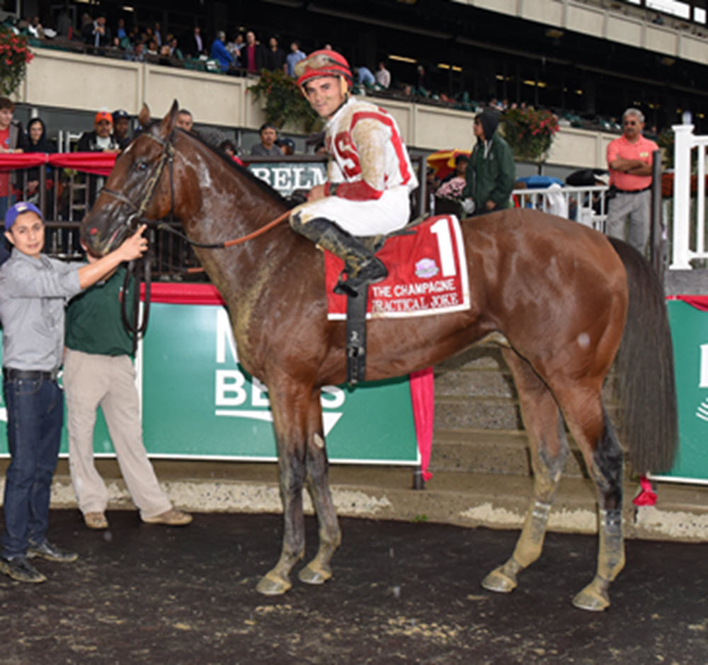 2017 Kentucky Derby Practical Joke Pedigree Profile